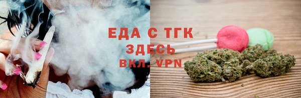 индика Инсар