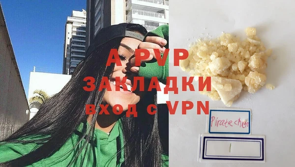индика Инсар